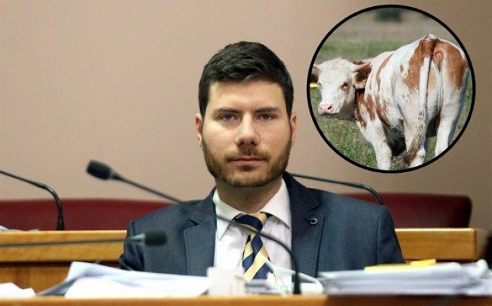 Ivan Pernar ponovo u centru pažnje: Objasnio je kako će krave uništiti čovječanstvo