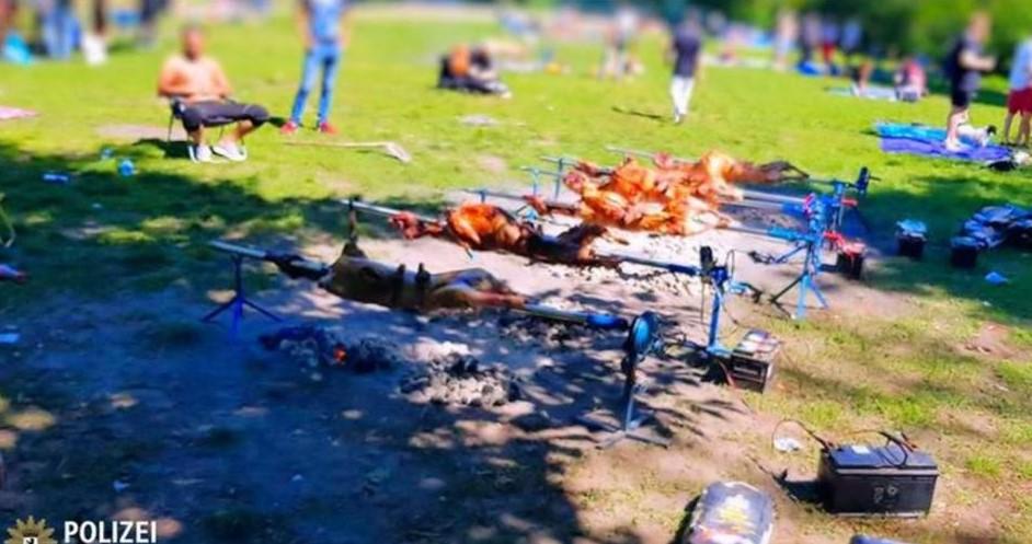 Stanovnici Berlina šokirani: Bh. državljani u parku okrenuli 12 janjadi