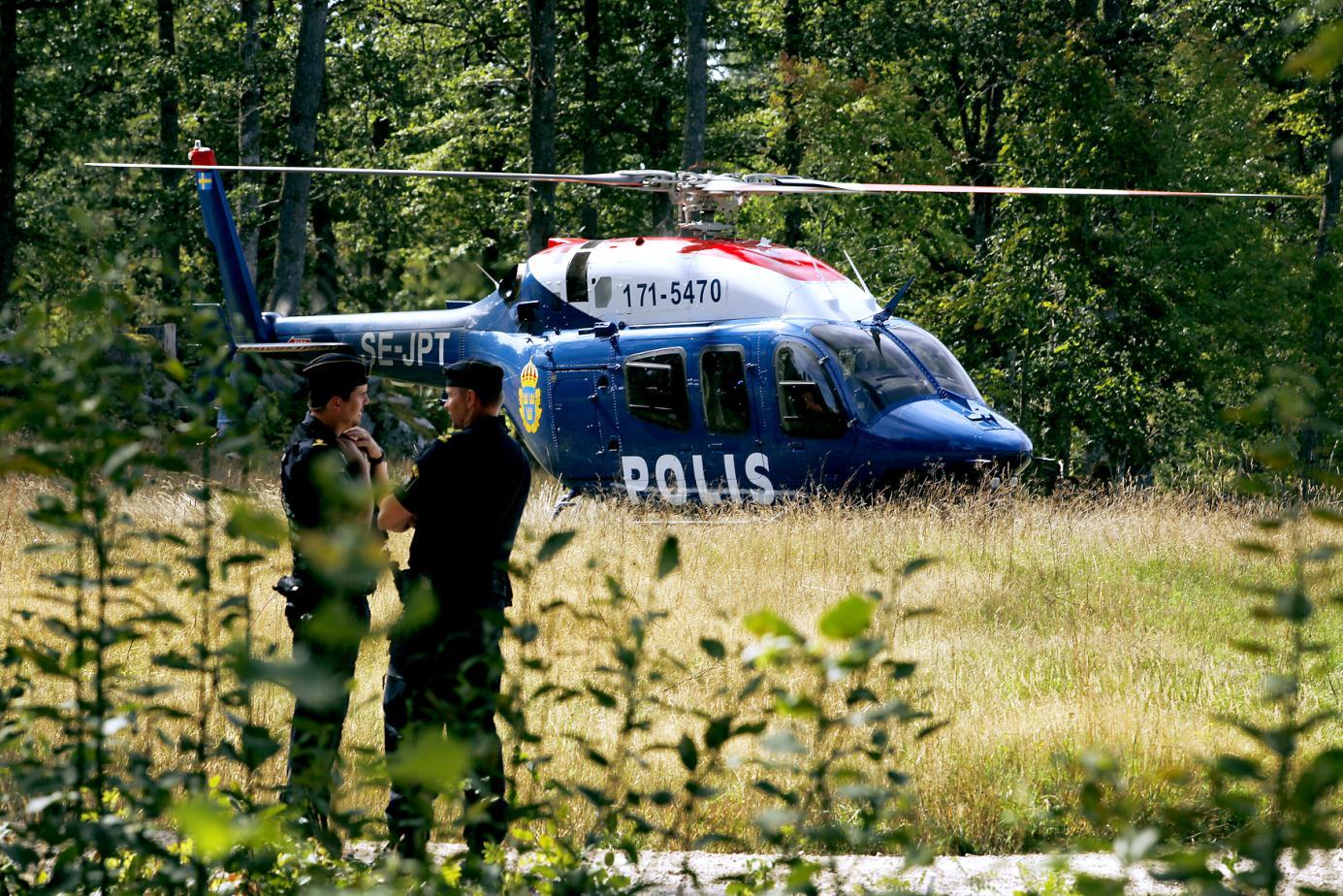 Ptice srušile švedski borbeni avion "Gripen", pilot se katapultirao