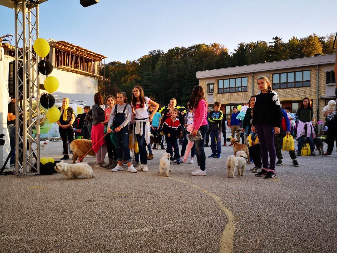 Druženje vlasnika pasa organizirano u dvorištu škole - Avaz