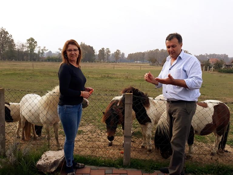 Farma Jurišića širi se magarcima, kozama, poni konjima, ovcama, paunovima, guskama i patkama