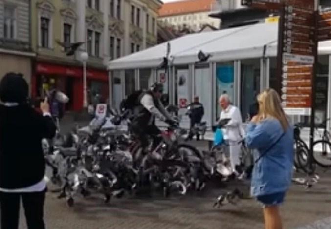 Muškarac u Zagrebu biciklom gazio golubove