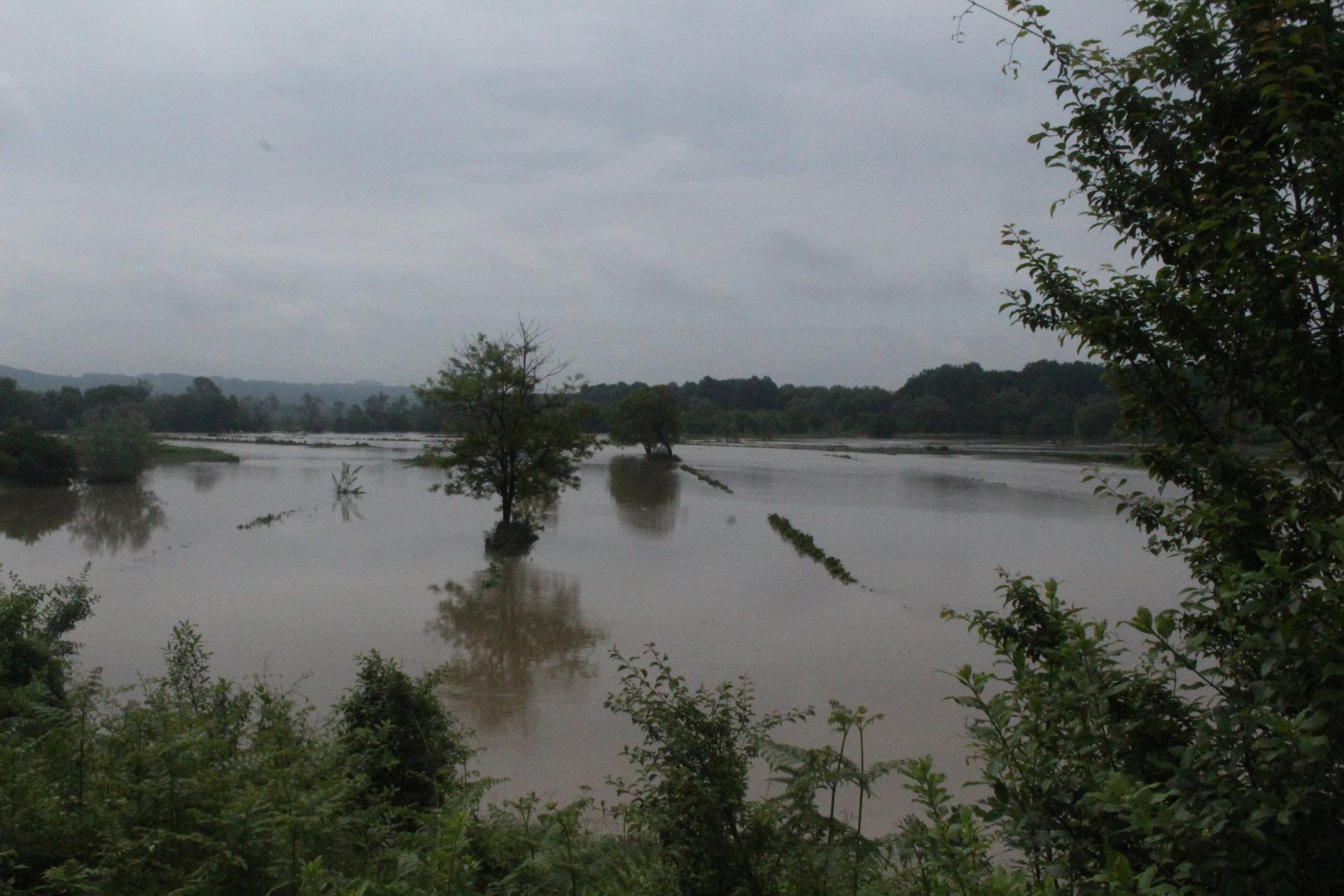 Poplavljeno više od 300 hektara plodne oranice - Avaz