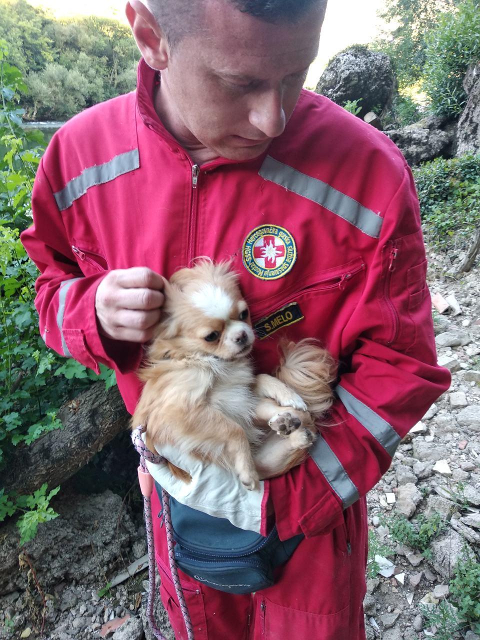Pripadnici GSS-a spasili štene zarobljeno u stijeni