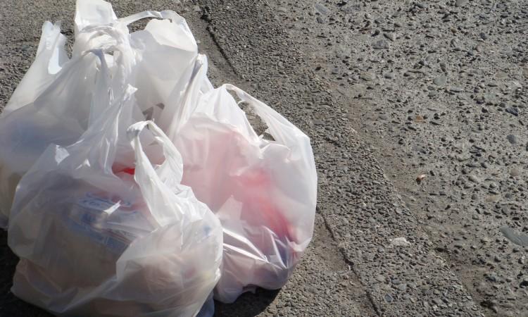 Planira se potpuna zabrana plastičnih vrećica - Avaz