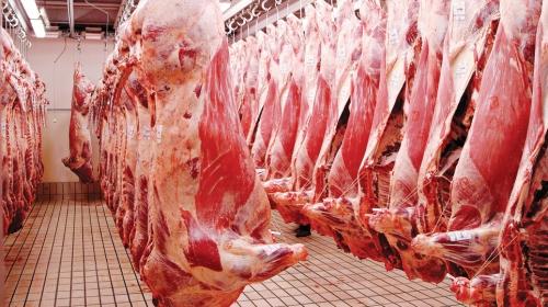 Pašalić: Hitno riješiti problem s izvozom goveđeg mesa