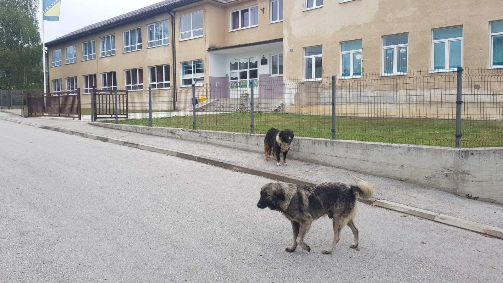 Psi lutalice napali i za noge ugrizli dva učenika dok su išli prema školi