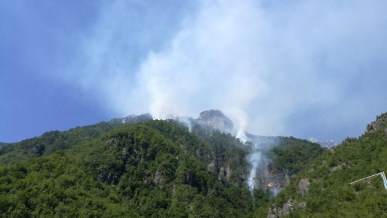 Zatraženo hitno otkrivanje počinilaca izazivanja šumskih požara