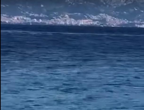 Snimljen morski pas u Jadranskom moru