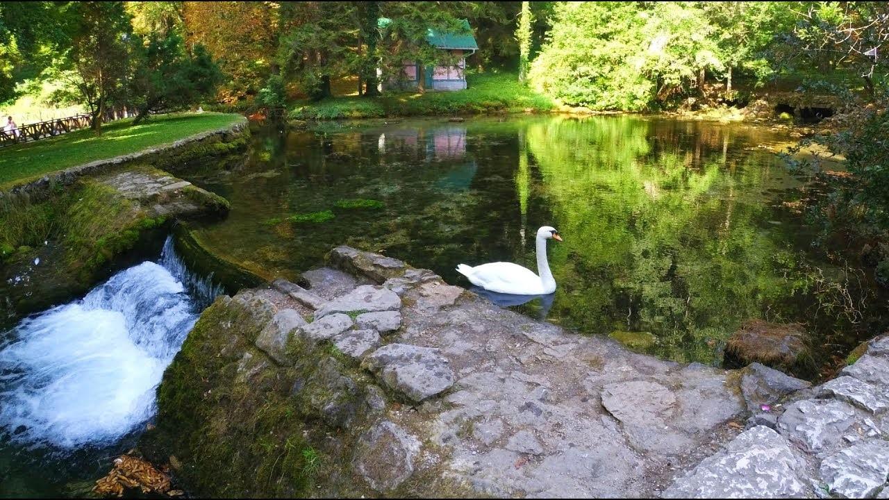 Vrelo Bosne - oaza mira uz žubor rijeke i povjetarac s Igmana