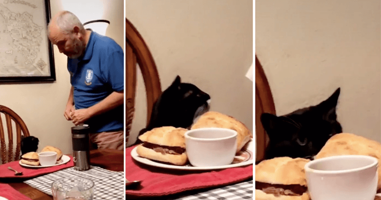 Mačak svakog dana večera za stolom sa svojim vlasnikom i uživa poseban tretman