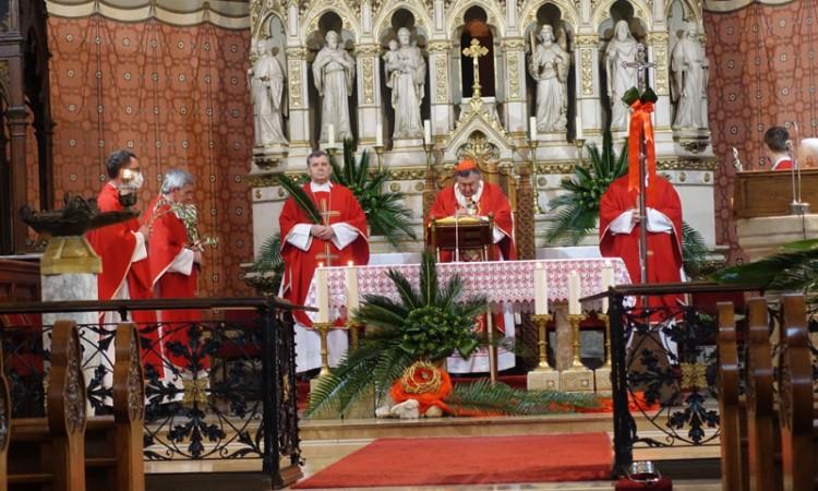 Kardinal Puljić predvodio misno slavlje na Cvjetnicu u sarajevskoj katedrali