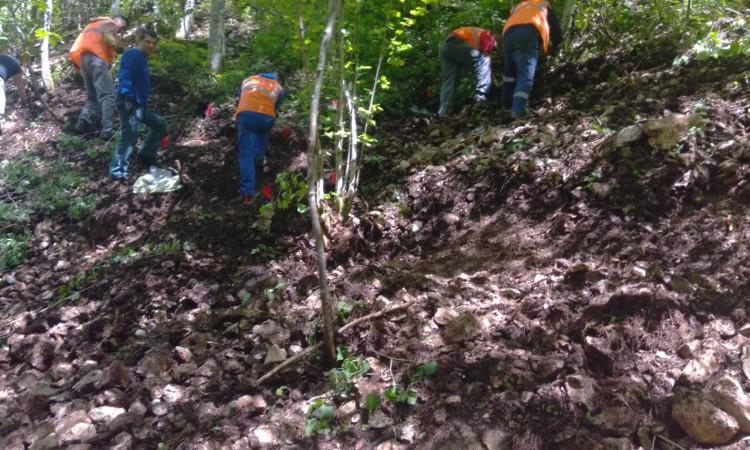 Završena ekshumacija: Kopao kanal ispod kuće pa pronašao ostatke lobanje