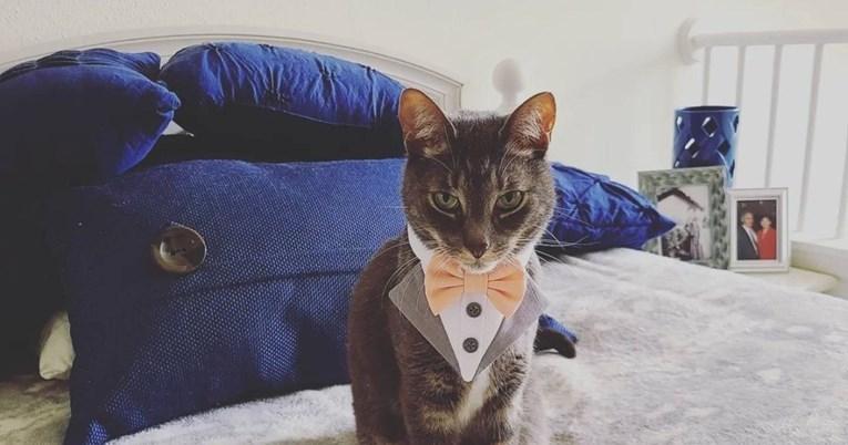 Mačak spektakularnim outfitom ukrao svu pažnju na vjenčanju