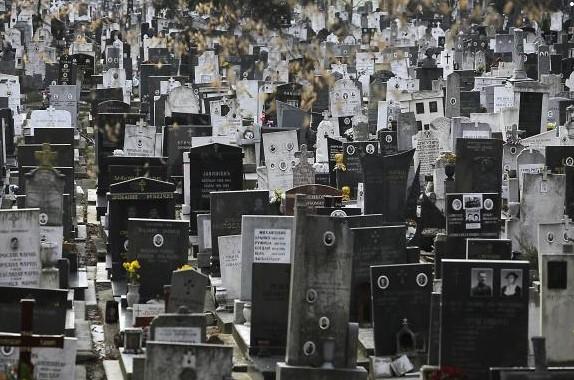 Centralno groblje u Beogradu - Avaz