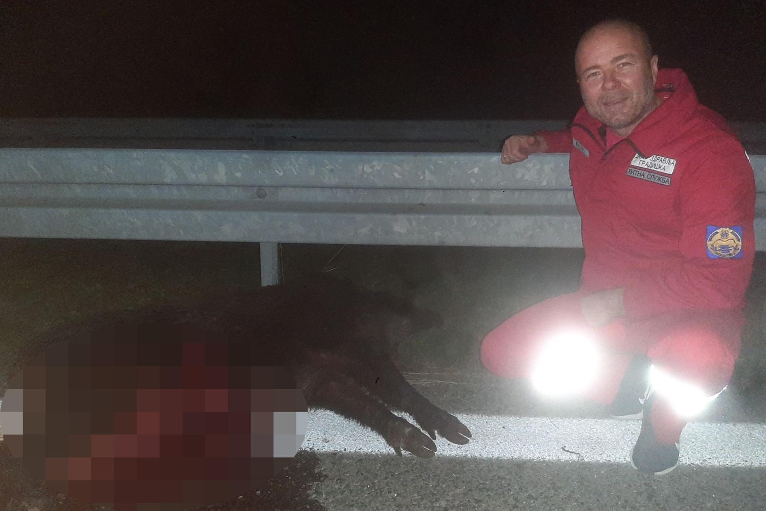 Nesvakidašnji udes na autoputu: Automobilima naletjeli na krdo divljih svinja i ubili njih šest