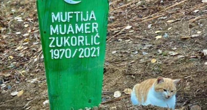 Mačak muftije Zukorlića ne napušta njegov mezar ni po najvećoj kiši