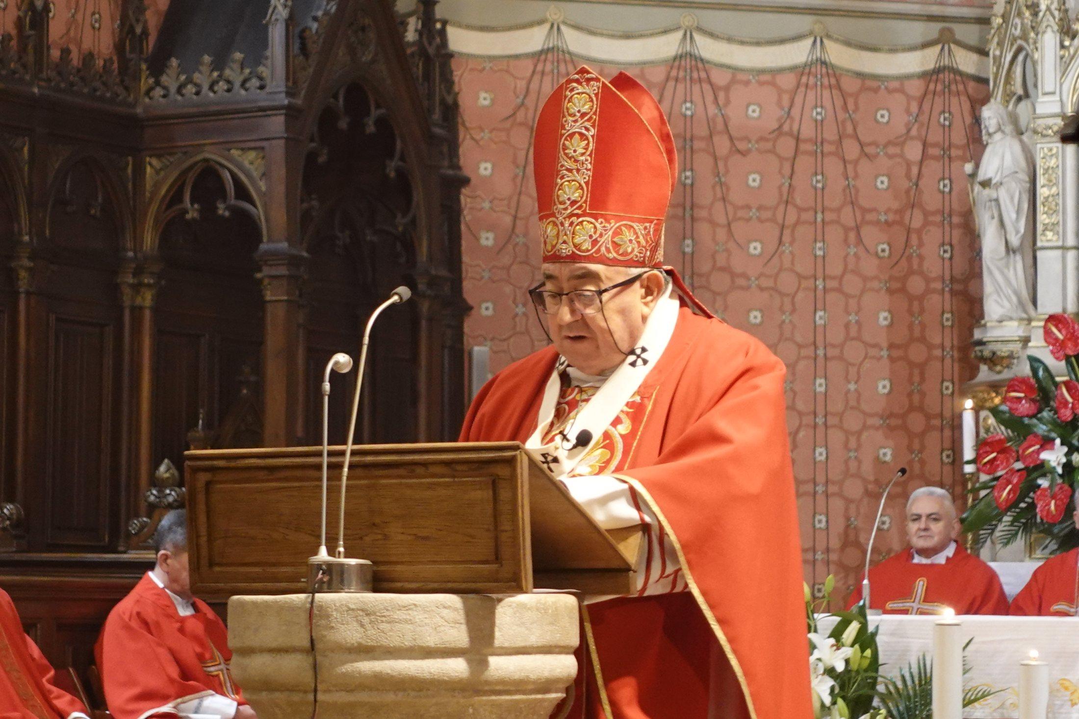 Kardinal Puljić predvodio Misu za progonjene kršćane - Avaz