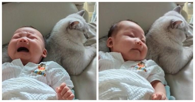 Mačak uspavljuje bebu - Avaz