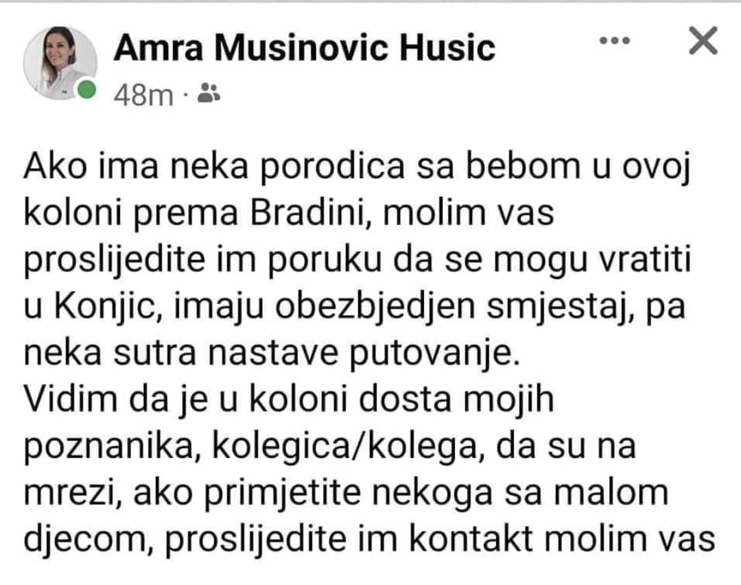 Facebook status Mušinović-Husić - Avaz