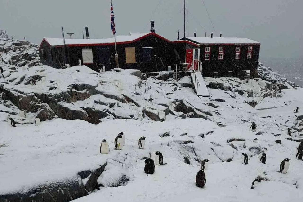 Najudaljenija pošta na svijetu dobila nove radnice: Brinut će i o pingvinima