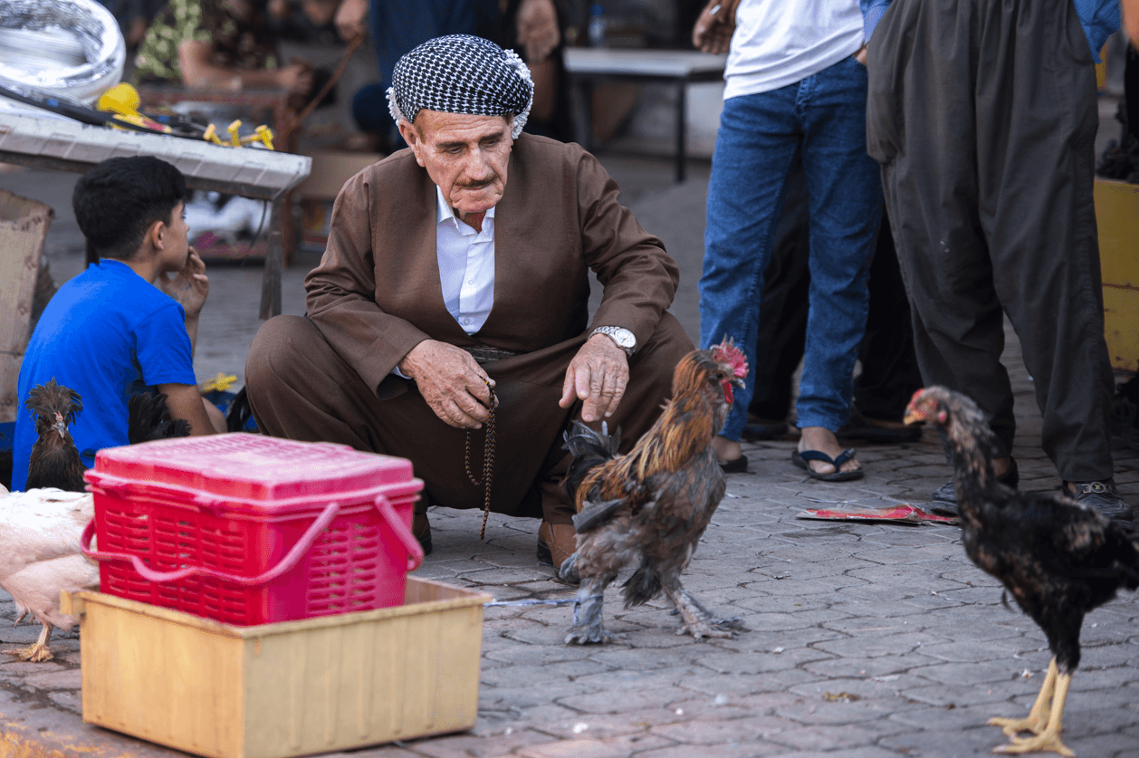 Pijaca ptica u Erbilu glavno je mjesto okupljanja ljubitelja tih vrsta životinja u Iraku