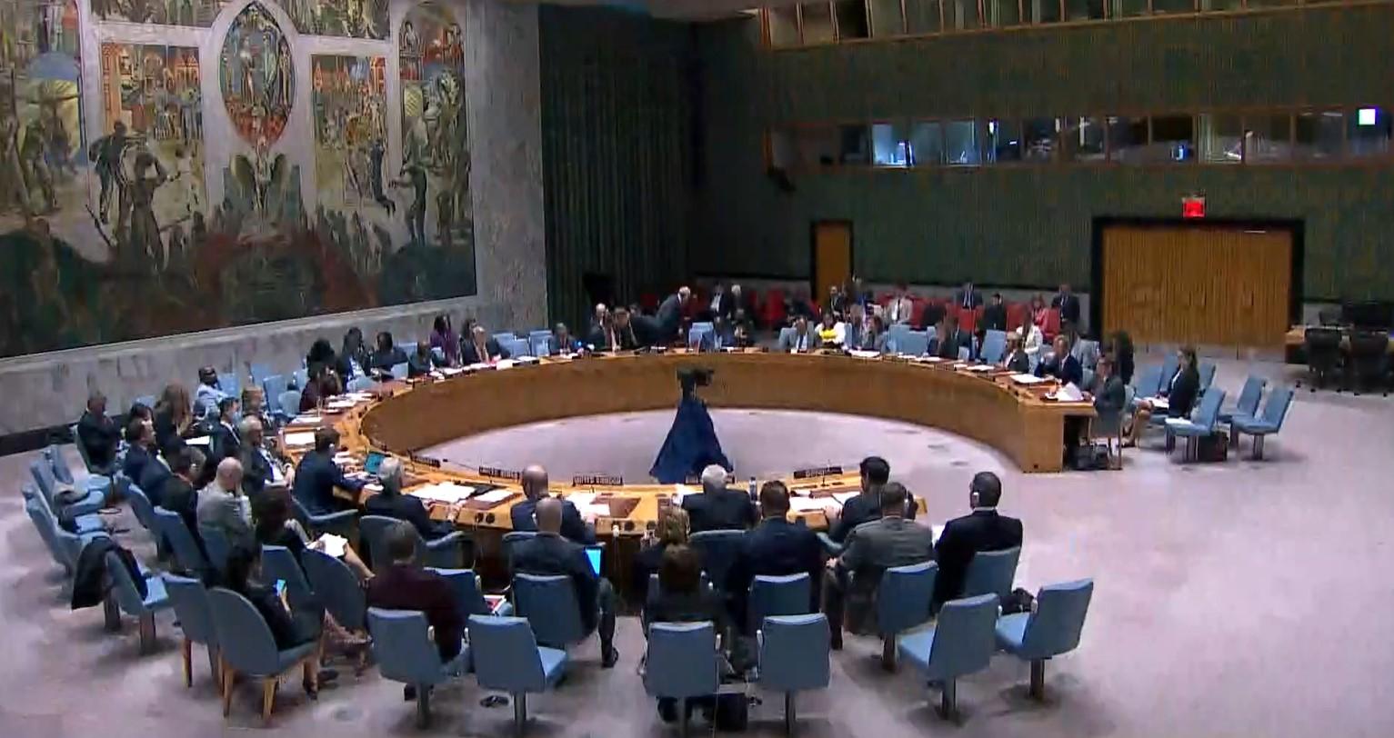 Završen sastanak Vijeća sigurnosti UN-a: Produžen mandat EUFOR-a, Alkalaj napao Šmita