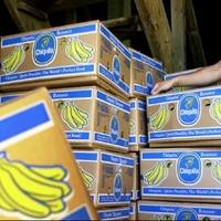 Sud naredio banana gigantu "Chiquitai" da plati 38 miliona dolara žrtvama kolumbijskih paravojnih odreda