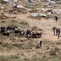 Izraelski doseljenici zapalili palestinsku imovinu na Zapadnoj obali
