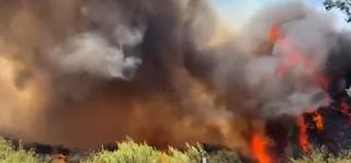 Video / Požar bukti Čileom, 22 osobe poginule 