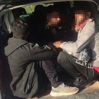 Pet osoba lišeno slobode zbog krijumčarenja 30 migranata
