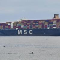 Najveća brodarska kompanija MSC obustavila pomorski transport preko Crvenog mora