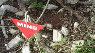 Njemačka potpisala još jedan ugovor za podršku žrtvama mina u BiH
