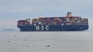 Najveća brodarska kompanija MSC obustavila pomorski transport preko Crvenog mora