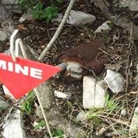 Njemačka potpisala još jedan ugovor za podršku žrtvama mina u BiH