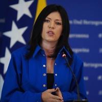 Vulić: "Upotreba bonskih ovlaštenja je nasilje nad demokratijom"
