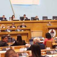 Poslanici u NSRS podržali veto Cvijanović o eskalaciji napada organa RS na Dejton