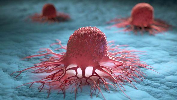 Značajan napredak u imunoterapiji: Odstranjivanje određenih enzima može poboljšati imunitet na tumore