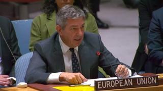 Ambasador EU pri UN-u: Zabrinuti smo zbog inicijativa iz RS koje se bore protiv evropskog puta