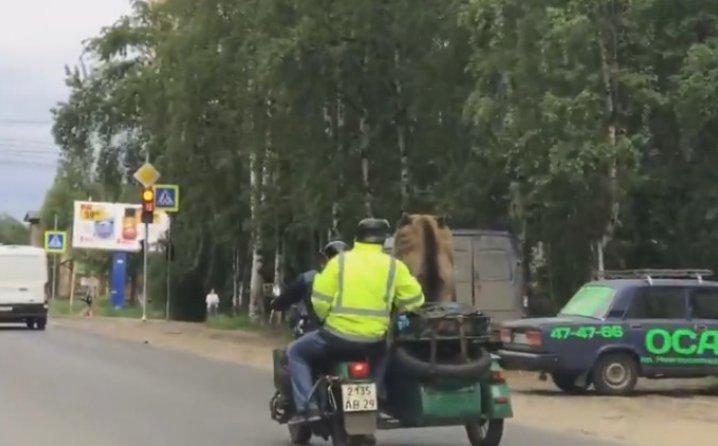 Neobični bajker: Kroz grad vozio medvjeda na motoru