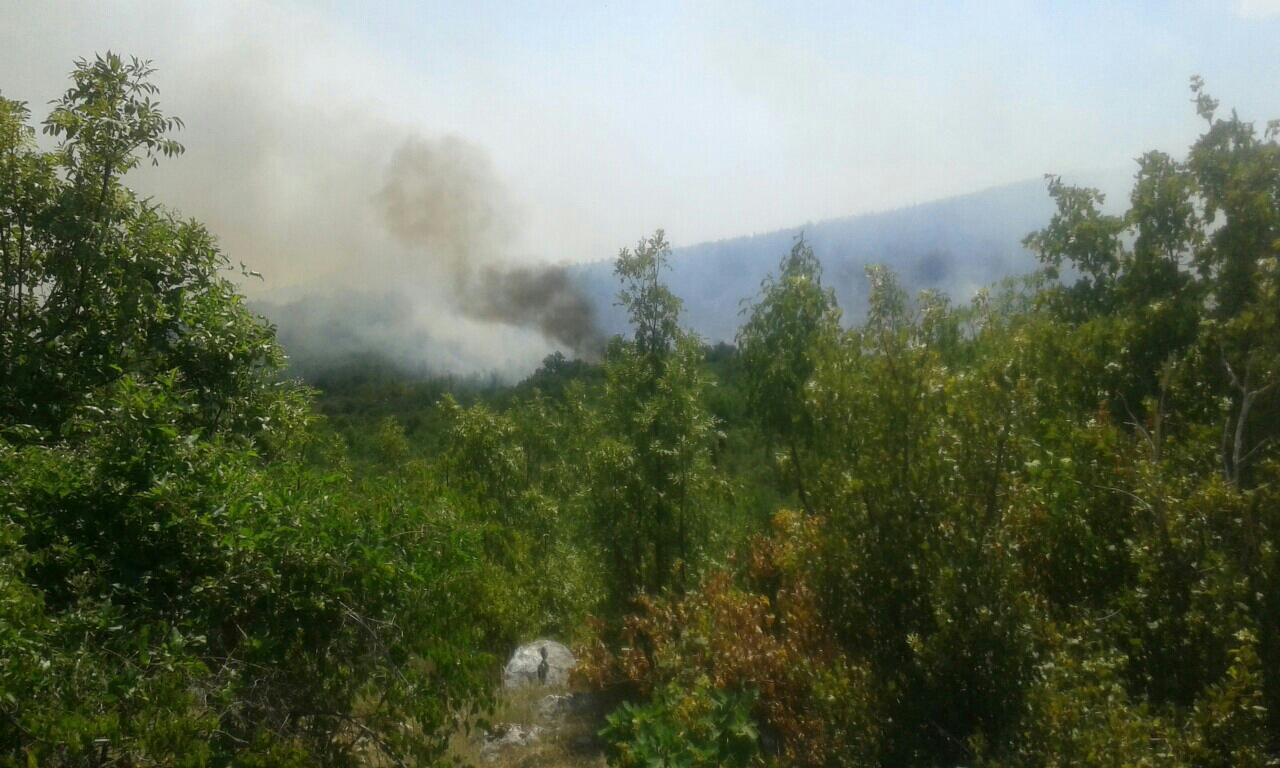 Berkovići: Stanje na požarištima i dalje alarmantno, s vatrom se bori veliki broj ljudi