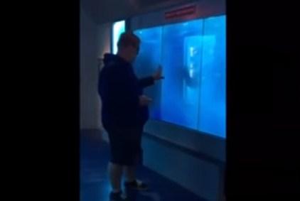 Mladić "kucao" ajkuli u akvariju, ali nije očekivao ovakvu reakciju