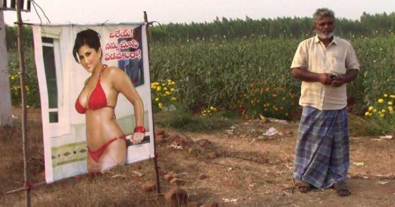 Farmer postavio poster porno-glumice kako bi zaštitio njive od zlih pogleda