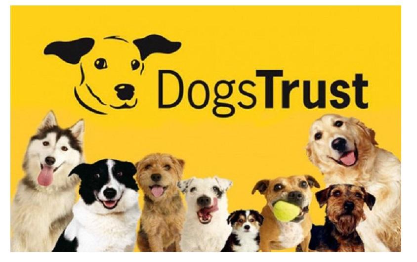 "Dogs Trust" nastavlja kampanju besplatne sterilizacije pasa
