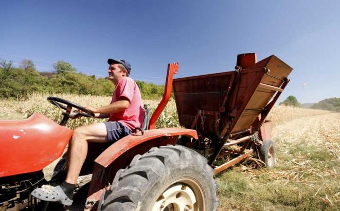Udruženje poljoprivrednika FBiH traži hitan nastavak isplate poticaja