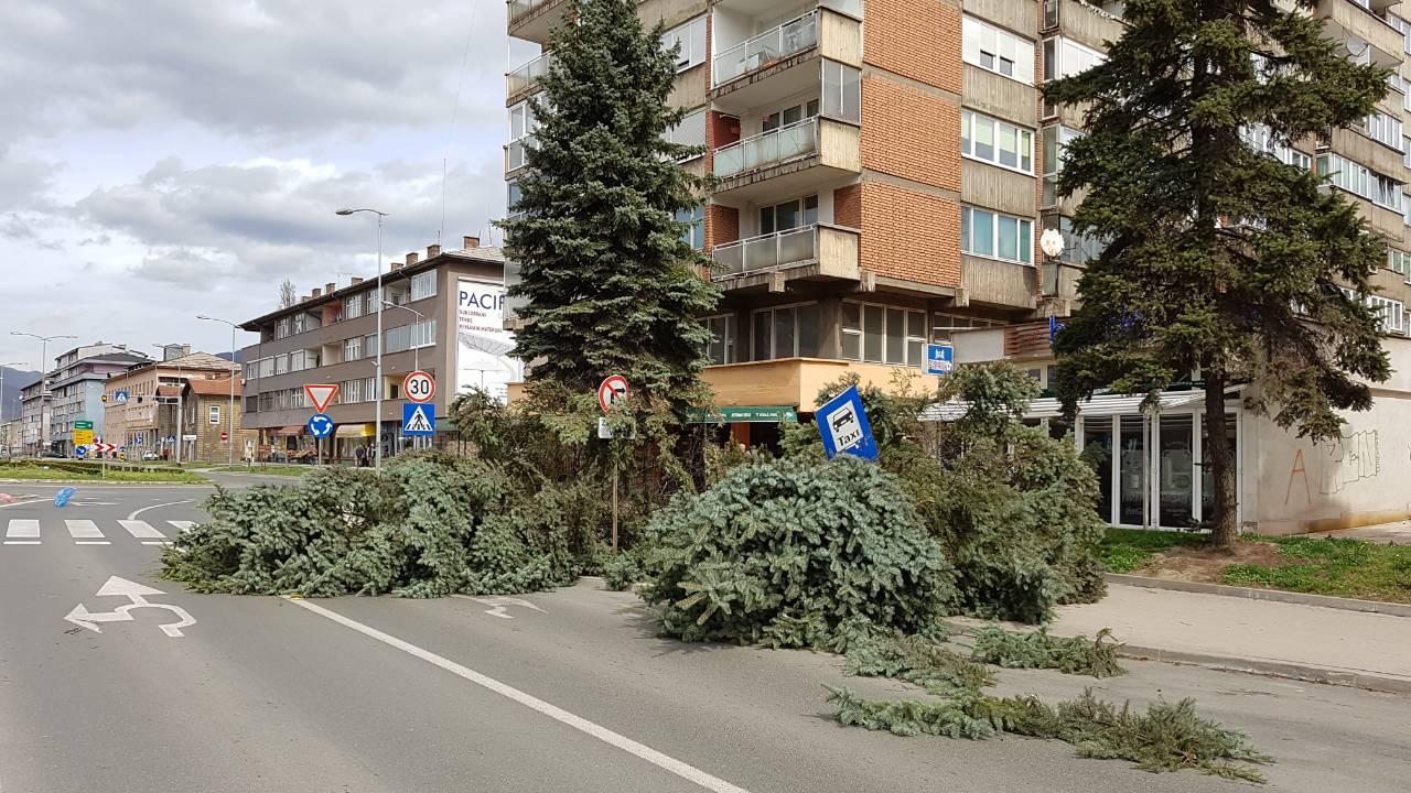 Nevrijeme u Zenici: Snažan vjetar polomio drveće, oštećena dva automobila