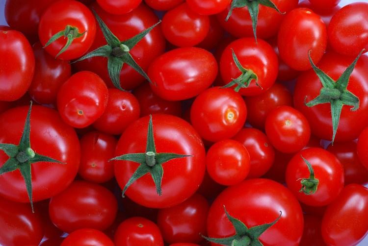 Inspektori u BiH provjeravaju paradajz iz Turske