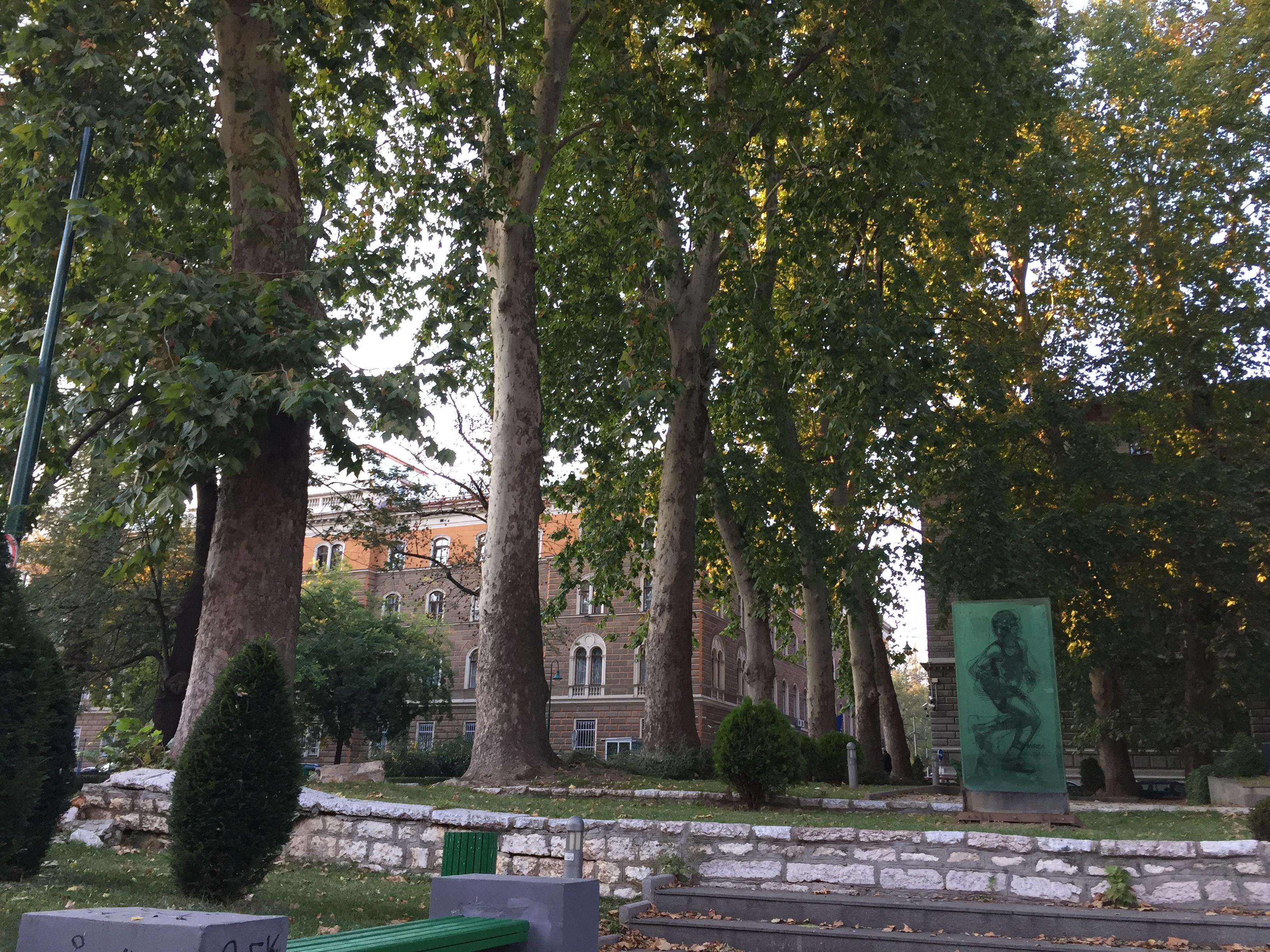 Sveobuhvatna analiza stabala naredne sedmice u Parku Mirze i Davora - Avaz