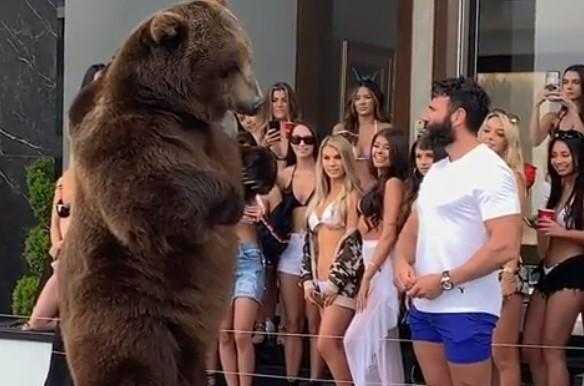 Kralj Instagrama, hraneći medvjeda pred polugolim djevojkama, naišao na oštre osude, evo i zašto