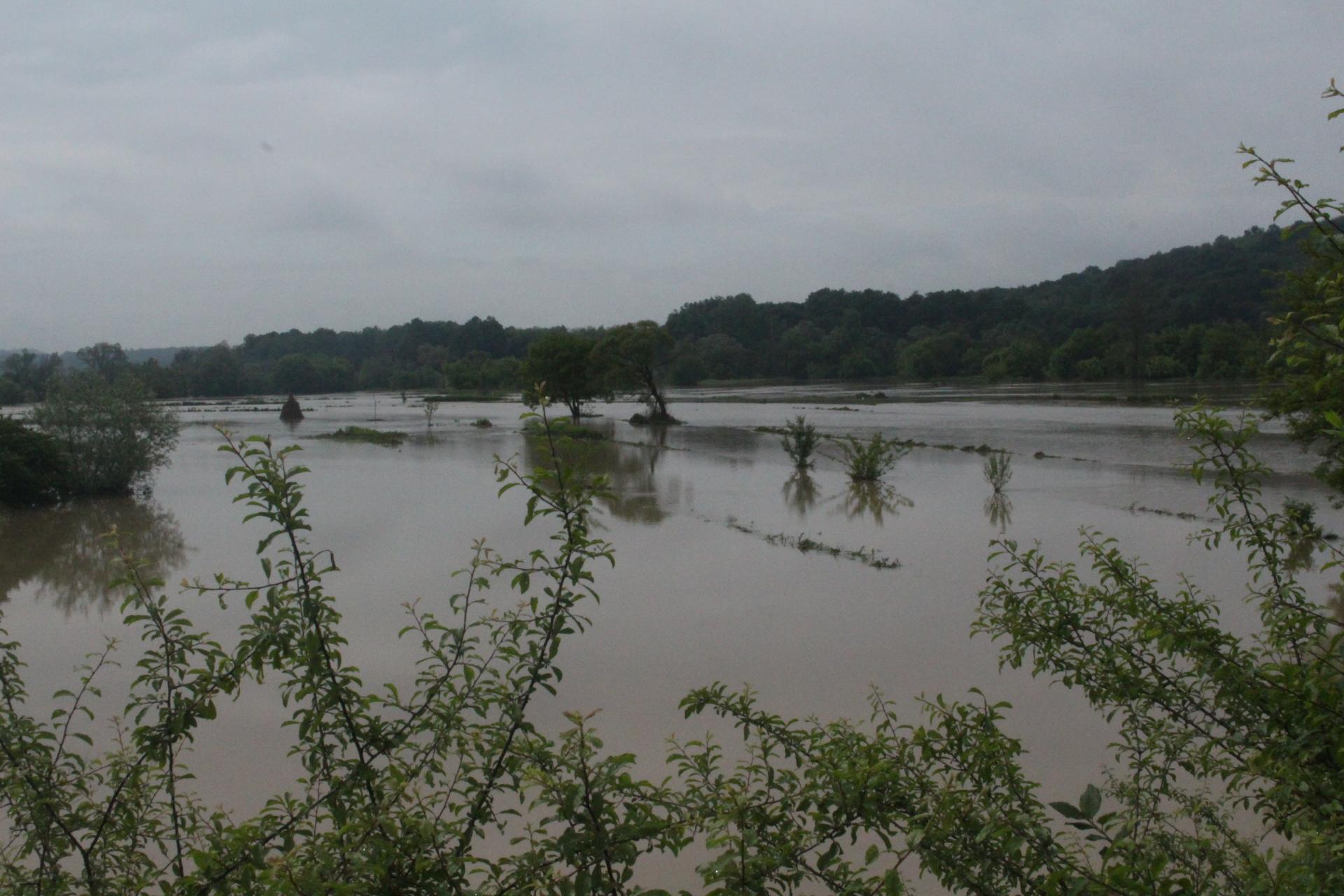 Rijeka Spreča poplavila oko 250 hektara plodnog polja